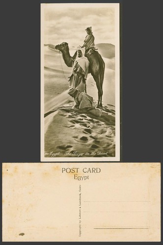 Egypt old postcard the - egypt,
